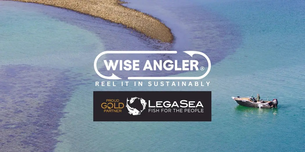 Wise Angler: Setting Sail as Legasea Gold Partner - WISE ANGLER