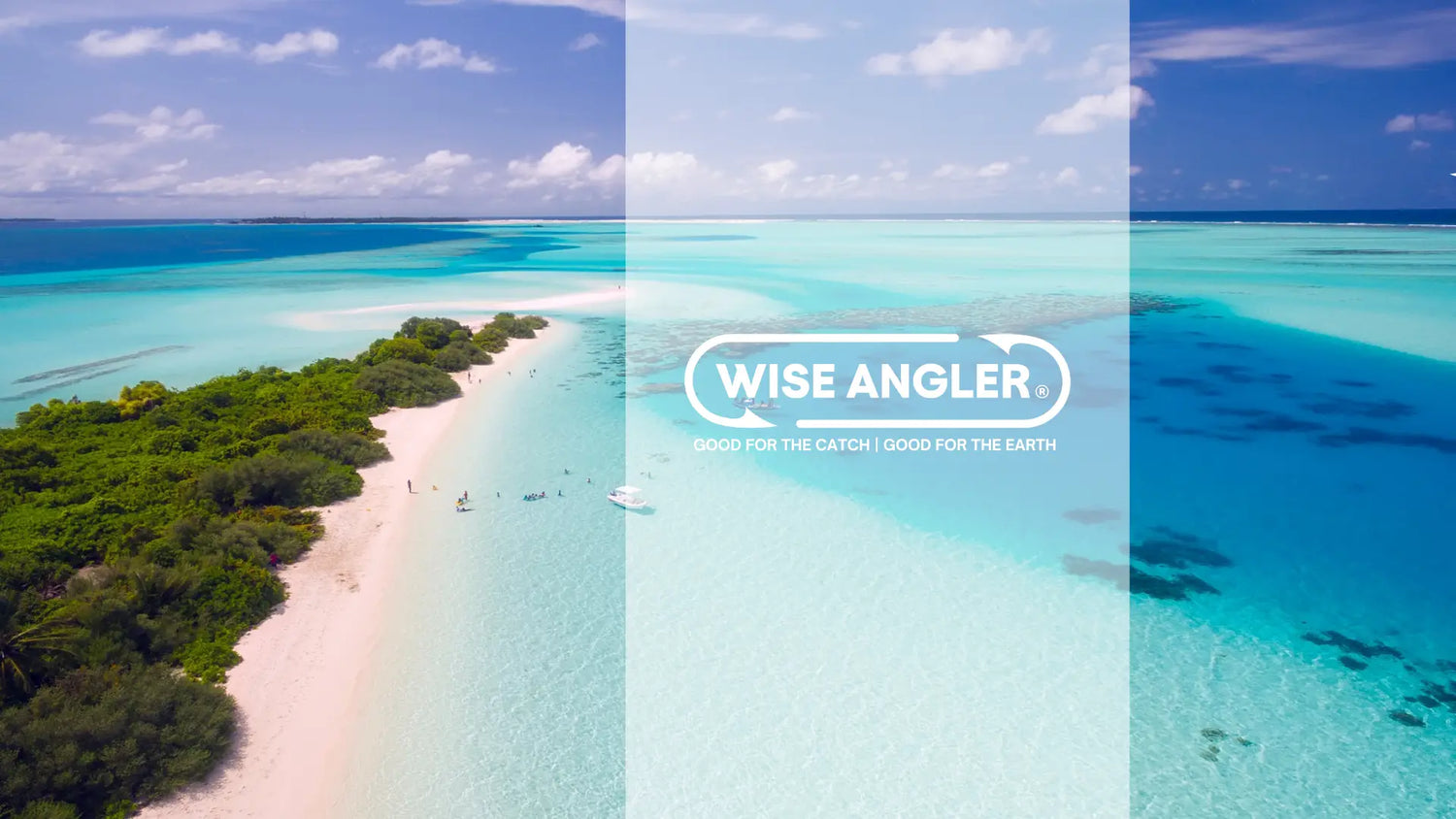 Taking Action: Closing the Sustainability Gap in Fishing Brands - WISE ANGLER