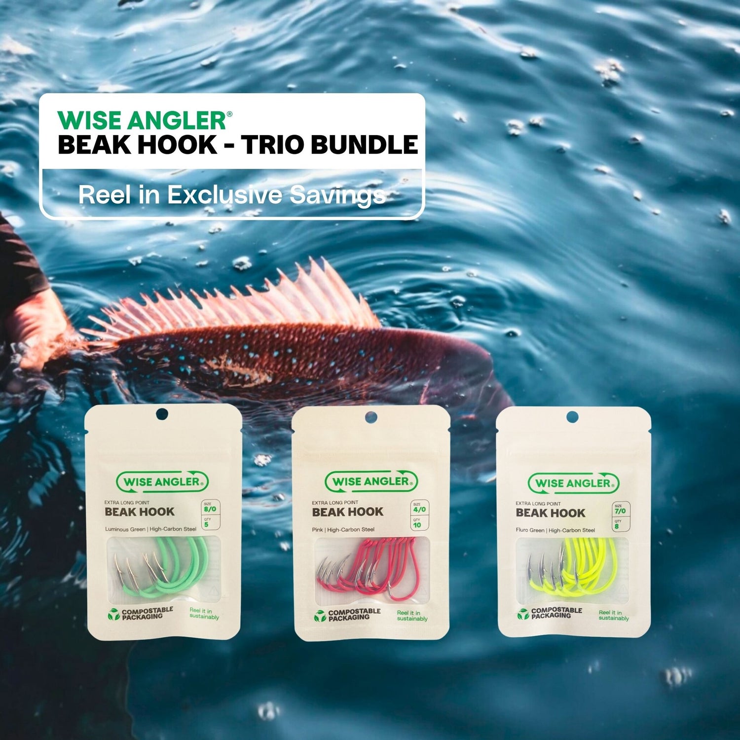 Beak Hook - Color Trio Bundle